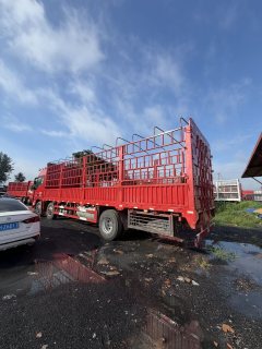 Foton Auman EST 320 hp 8X4 9.45 m - фото 5