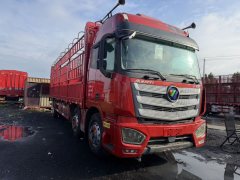 Foton Auman EST 320 hp 8X4 9.45 m - фото 6