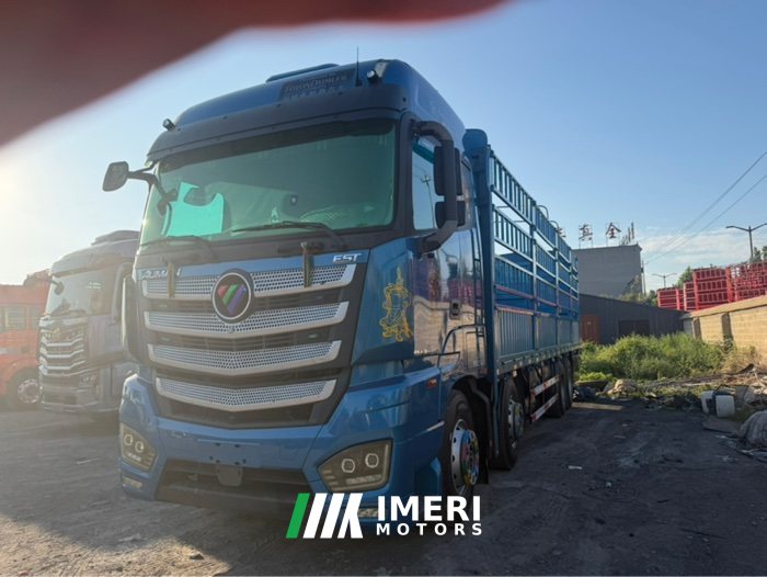 Foton Auman EST 490 hp 8X4 9.56 m - грузовик из Китая