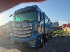 Foton Auman EST 490 hp 8X4 9.56 m - фото 1
