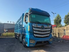 Foton Auman EST 490 hp 8X4 9.56 m - фото 3