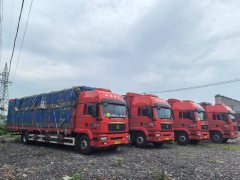 Sinotruk Sitrak G5 290 hp 4X2 9.6 m - фото 2