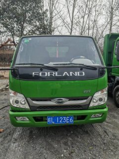 Foton Rowor Forland 95 hp 4X2 3.3 m - фото 2