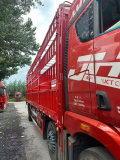 FAW Jiefang JH6 320 hp 6X2 7.7 m - фото 9