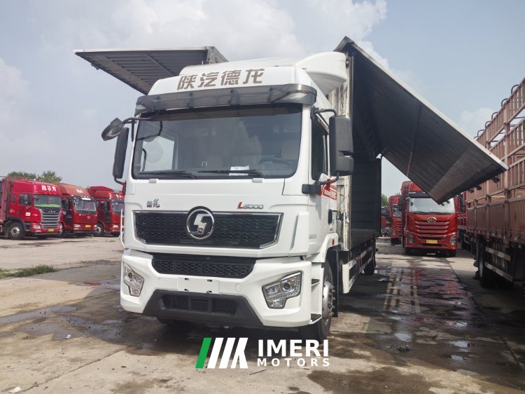 2023 Shacman Delong L5000 290 hp 4X2 9.8 m