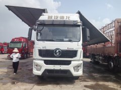 Shacman Delong L5000 290 hp 4X2 9.8 m - фото 2