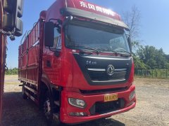 Dongfeng Tianjin KR PLUS 290 hp 4X2 6.8 m - фото 2