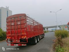 FAW Jiefang JH6 460 hp 8X4 - фото 5