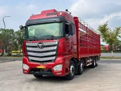 Foton Auman EST 510 hp 8X4 9.53 m - фото 1