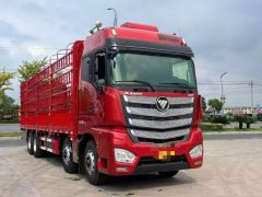 Foton Auman EST 510 hp 8X4 9.53 m - фото 2