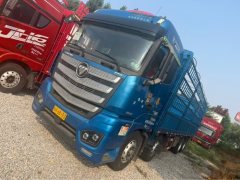 Foton Auman EST 490 hp 8X4 9.56 m - фото 1