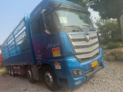 Foton Auman EST 490 hp 8X4 9.56 m - фото 3