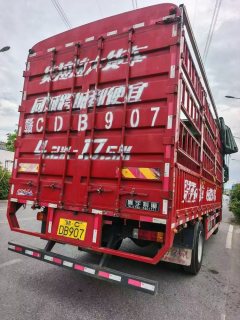 Dongfeng Liuzhou Chenglong H5 320 hp 4X2 6.8 m - фото 3