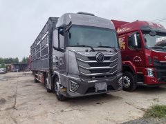 Foton Auman GTL Xingyi Edition 360 hp 6X2 9.53 m - фото 2