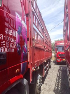 Foton Auman GTL Xingyi Edition 360 hp 6X2 9.56 m - фото 4