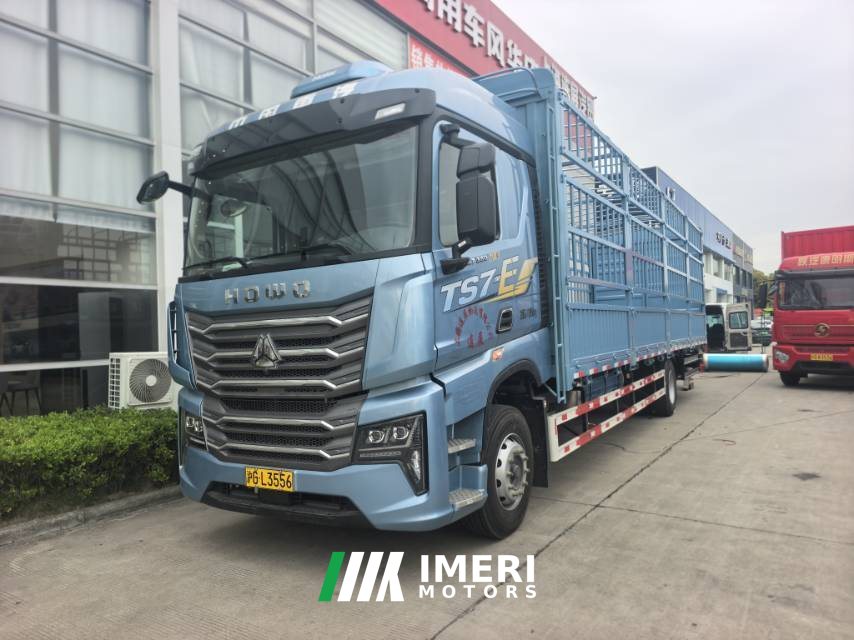 Sinotruk HOWO TS7 330 hp 4X2 6.75 m - грузовик из Китая