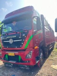 Dongfeng Tianlong KL 465 hp 8X4 9.6 m - фото 1