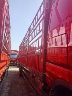 Sinotruk HOWO Max 290 hp 4X2 9.6 m - фото 4