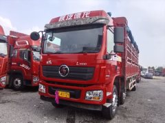 Shacman Delong L3000 245 hp 6X2 7.9 m - фото 3