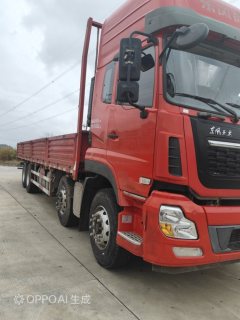 Dongfeng Tianlong 350 hp 8X4 9.6 m - фото 2