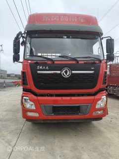 Dongfeng Tianlong 350 hp 8X4 9.6 m - фото 3