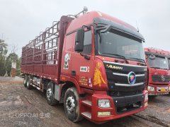 Foton Auman GTL 360 hp 8X4 9.6 m - фото 1