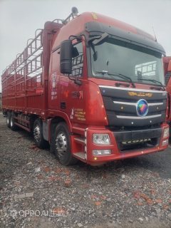 Foton Auman GTL 360 hp 8X4 9.6 m - фото 2