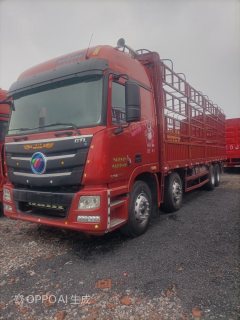 Foton Auman GTL 360 hp 8X4 9.6 m - фото 3