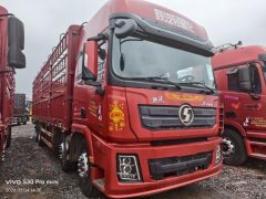 Shacman Delong X3000 375 hp 8X4 9.55 m - фото 1