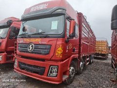 Shacman Delong X3000 375 hp 8X4 9.55 m - фото 2