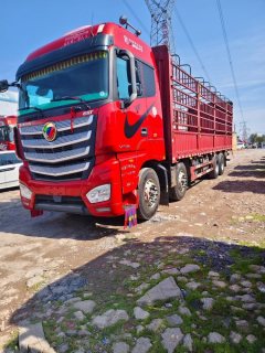Foton Auman EST 510 hp 8X4 9.6 m - фото 1