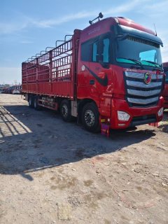 Foton Auman EST 510 hp 8X4 9.6 m - фото 6