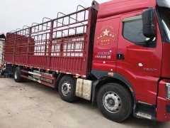 Dongfeng Liuzhou Chenglong H7 350 hp 8X4 9.6 m - фото 6