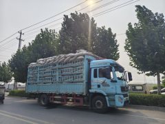 Shacman Delong L5000 300 hp 4X2 6.8 m - фото 2