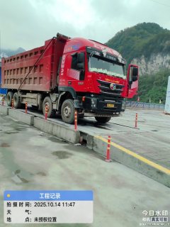 SAIC Hongyan Genlyon 520 hp 8X4 8 m - фото 3