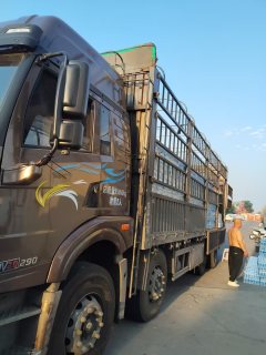 FAW Jiefang J6P 320 hp 6X2 8.7 m - фото 1