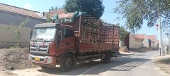 Foton Rowor Q5 168 hp 4X2 6.7 m - фото 1