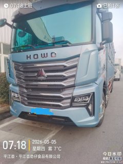 Sinotruk HOWO TS7 460 hp 8X4 9.6 m - фото 1