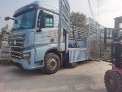Sinotruk HOWO TS7 460 hp 8X4 9.6 m - фото 2