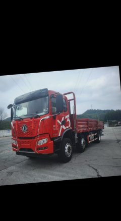 Dongfeng X3 290 hp 6X2 7.8 m - фото 3