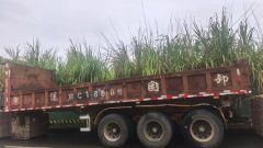 9.00 m x2.55 m 3 semi-trailer - фото 3