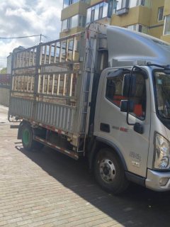 Foton Ollin New Express 156 hp 4X2 4.18 m - фото 1