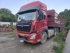 Dongfeng Tianlong 450 hp 6X4 - фото 1