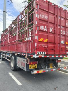 FAW Jiefang JH6 350 hp 6X2 9.5 m - фото 3