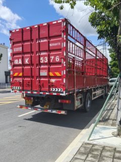 FAW Jiefang JH6 350 hp 6X2 9.5 m - фото 5