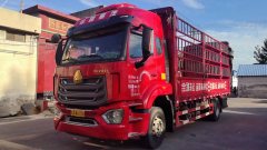 Sinotruk HOWO TS5 290 hp 4X2 6.75 m - фото 3