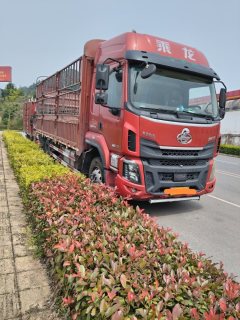 Dongfeng Liuzhou Chenglong H5 240 hp 4X2 6.8 m - фото 2