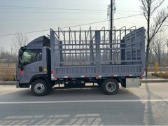 SINOTRUK HOWO Light Duty Truck Commander 170 hp 4X2 4.2 m - фото 1