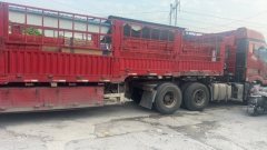 FAW Jiefang J6P 460 hp 6X4 - фото 2