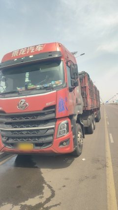 Dongfeng Liuzhou Chenglong H7 460 hp 6X4 - фото 4